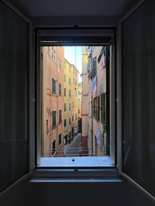 Iris 3: Un Fiore A Camogli Esterno foto
